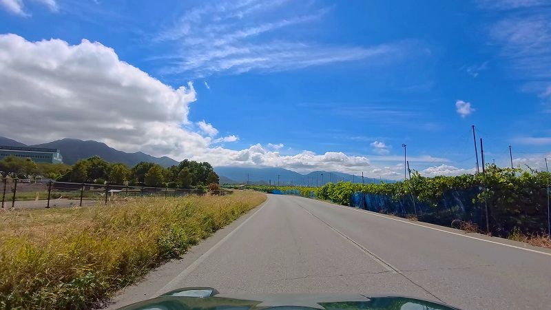 北信濃くだもの街道